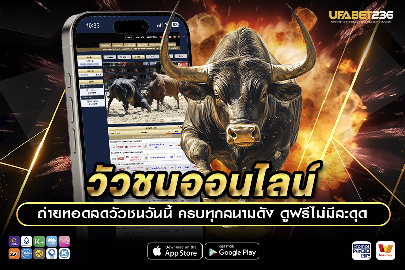 สนามวัวชนและรายการแข่งขันที่เปิดให้เดิมพันบน UFA236