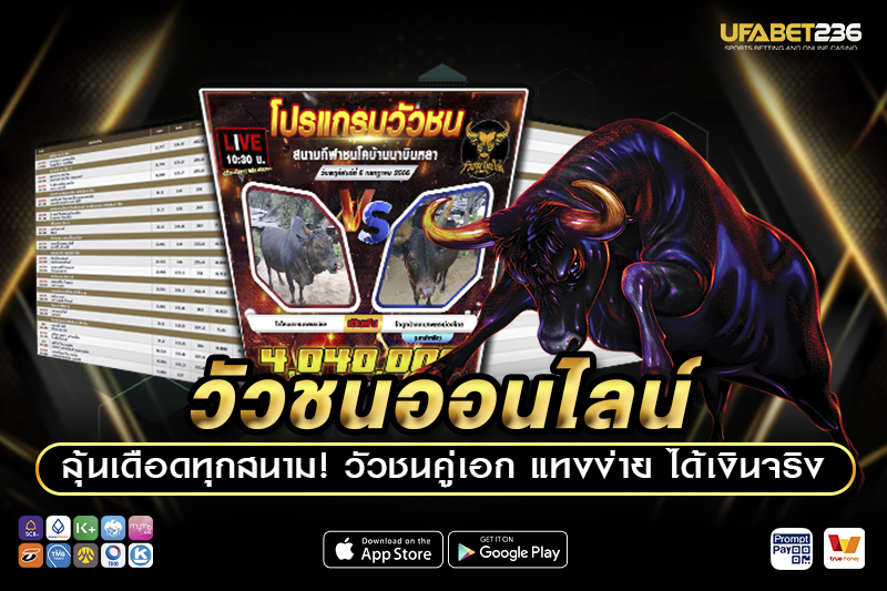 ประเภทเดิมพันวัวชนออนไลน์