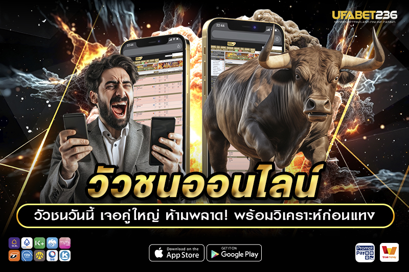 วัวชนออนไลน์ เดิมพันกีฬาพื้นบ้านสุดมันส์