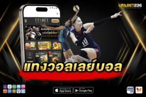 แทงวอลเลย์บอล คืออะไร